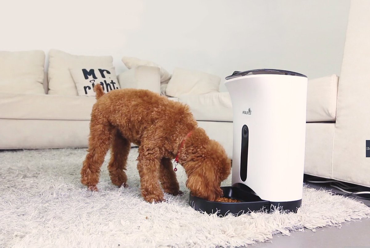 Petwant's tweet photo. PF-103 series
Do not worry when you are off home. Automatic Smart Feeder will help you good care of your pets.

E-mail: service@petwant.com https://t.co/RVb2QOAt17