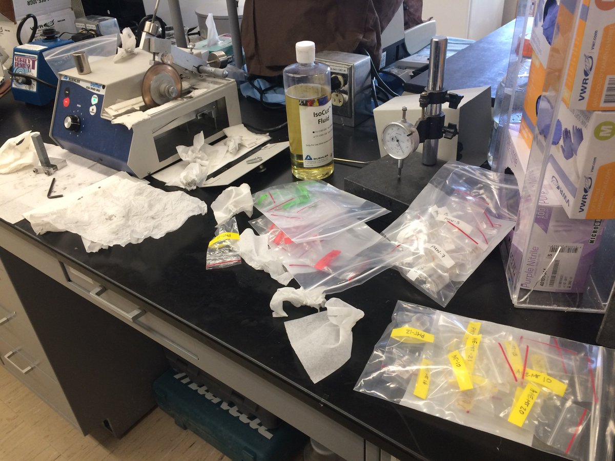 Ph_commDy's tweet photo. Lots of sectioning left to do......I swear I know what I'm doing in 😬
#CornellEngComm #PhDlife https://t.co/EIjY5U2DYW