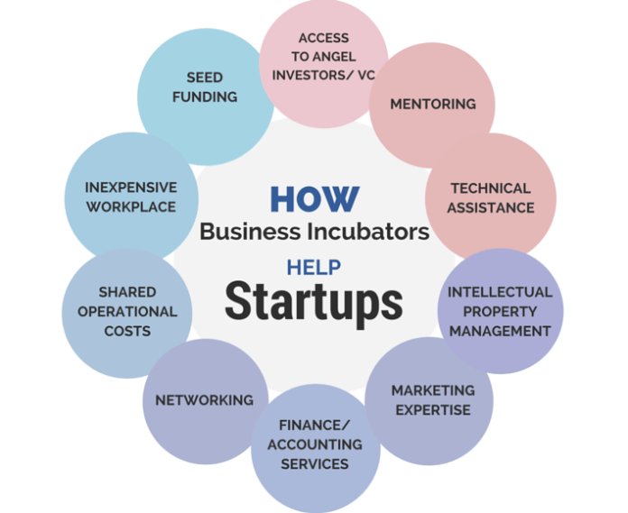 Mollyasu's tweet photo. Why Startups Need Incubators #GrowthHacking #DigitalMarketing  #SEO #SMM #Marketing #blog #EmailMarketing #Analytics #InboundMarketing #Entrepreneur #Startup #onlinemarketing #sales #Help #infographic https://t.co/jIP7KAZqQV
