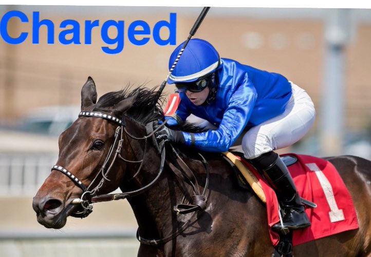 sophiedoyle77's tweet image. Wow what a day @ClubHawthorne Thankyou to the horses for their winning performances &amp;amp; to their trainers &amp;amp; owners for the opportunity to get you the Win, THANKYOU 😁 #4timer #humble #lovemyjob