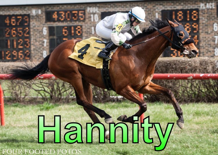 sophiedoyle77's tweet image. Wow what a day @ClubHawthorne Thankyou to the horses for their winning performances &amp;amp; to their trainers &amp;amp; owners for the opportunity to get you the Win, THANKYOU 😁 #4timer #humble #lovemyjob