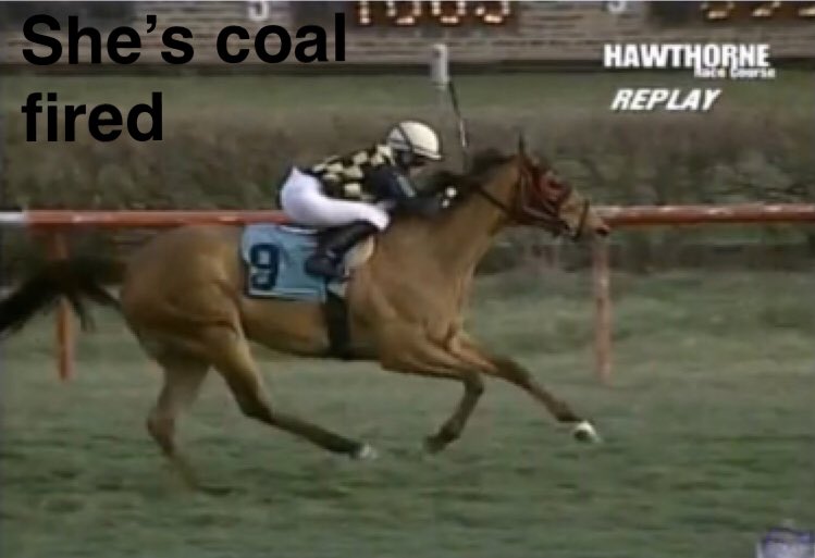 sophiedoyle77's tweet image. Wow what a day @ClubHawthorne Thankyou to the horses for their winning performances &amp;amp; to their trainers &amp;amp; owners for the opportunity to get you the Win, THANKYOU 😁 #4timer #humble #lovemyjob