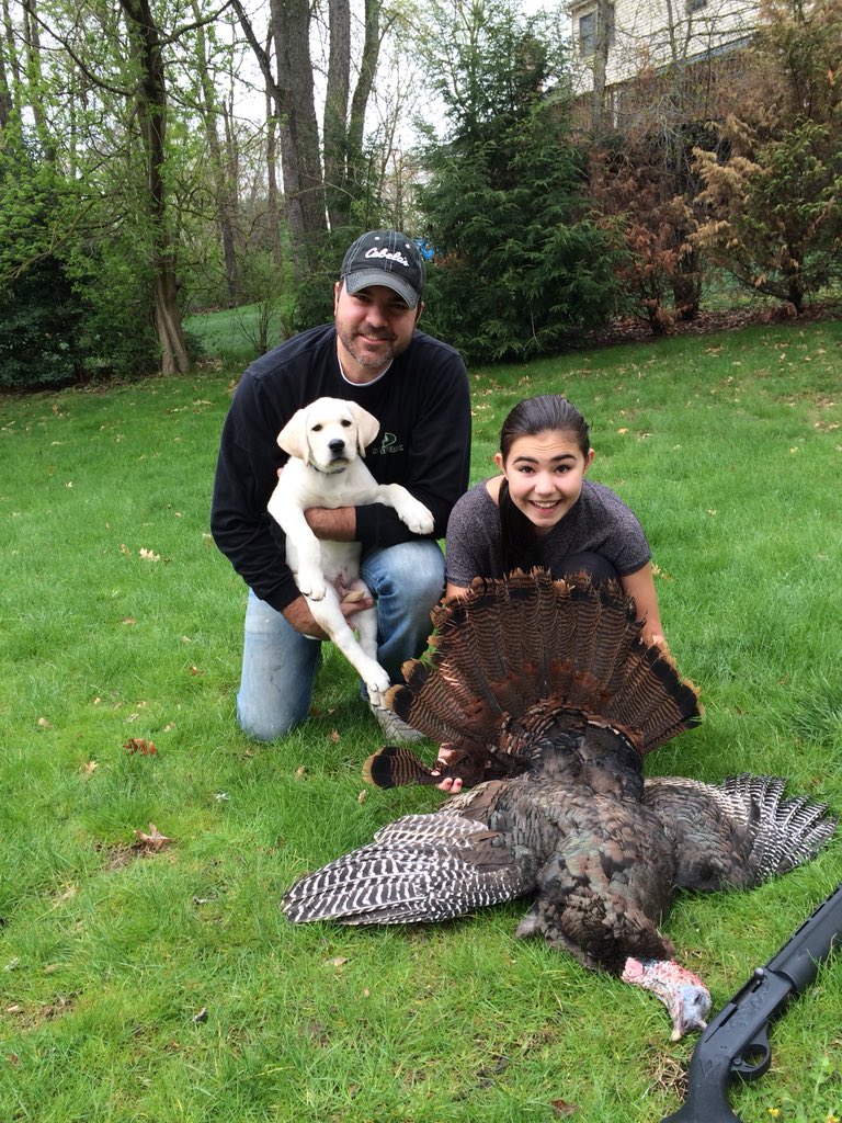 CopperheadULTD's tweet photo. Everyone around the country has been posting turkey pics for weeks...opener still one day away in PA. Scouted today and saw &amp; reminisced where every one of these birds was taken @firstlitewool @XpeditionBows #ThrowbackThursday https://t.co/PsI4LgEwYQ