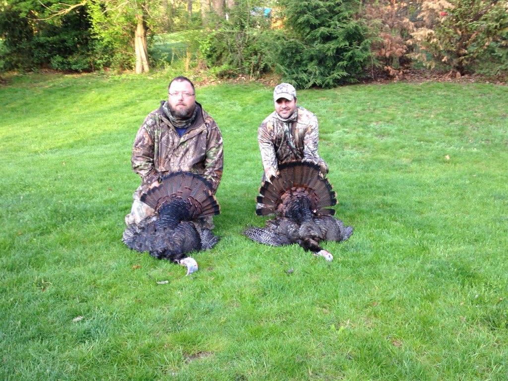 CopperheadULTD's tweet photo. Everyone around the country has been posting turkey pics for weeks...opener still one day away in PA. Scouted today and saw &amp; reminisced where every one of these birds was taken @firstlitewool @XpeditionBows #ThrowbackThursday https://t.co/PsI4LgEwYQ