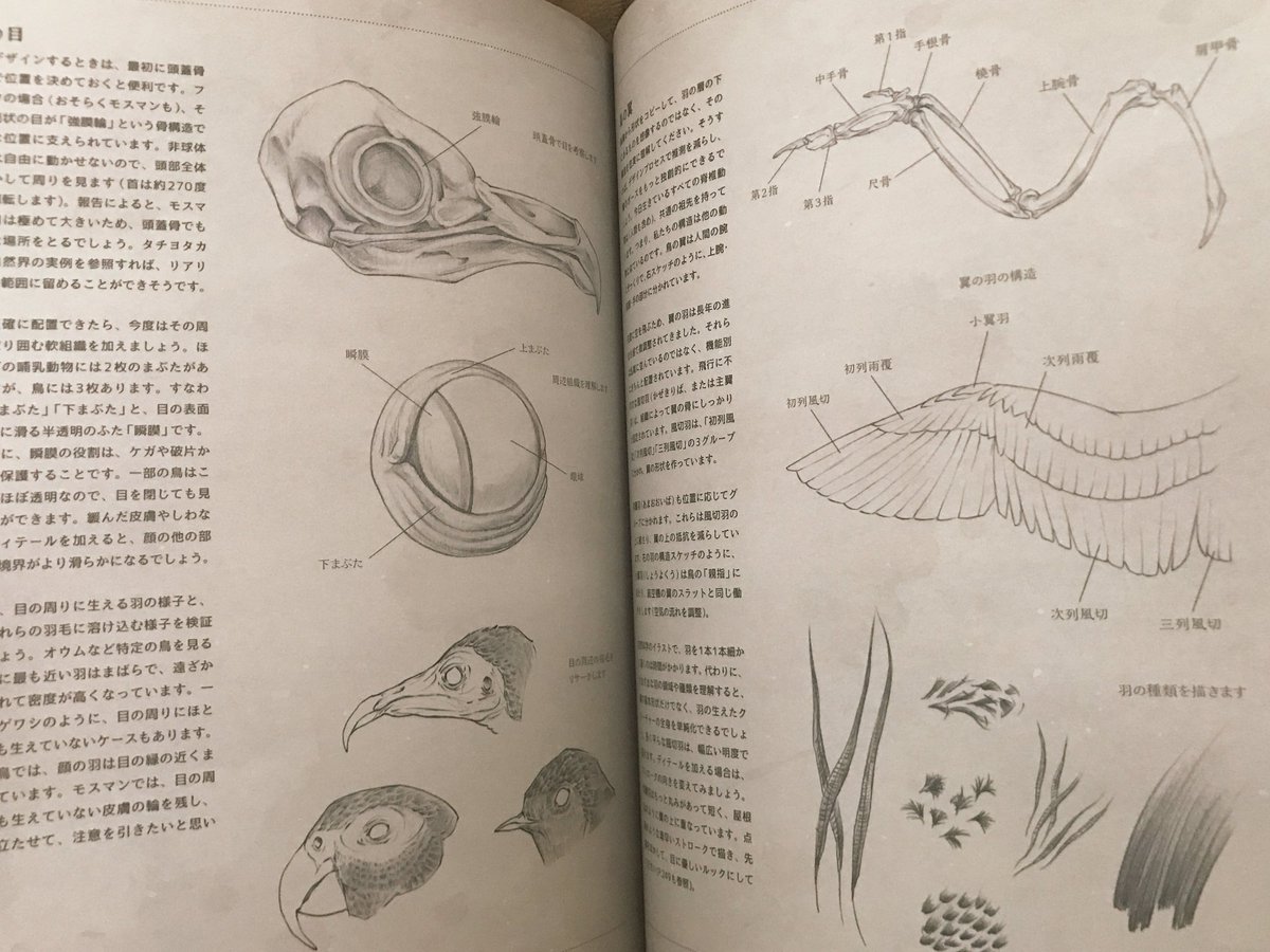 Yuki Morita 世界のモンスター 幻獣を描く の見本誌がborndigitalから届きました 解剖学的な視点からも クリエイティブな視点からもとても読み応えのある本です ボリュームが凄い