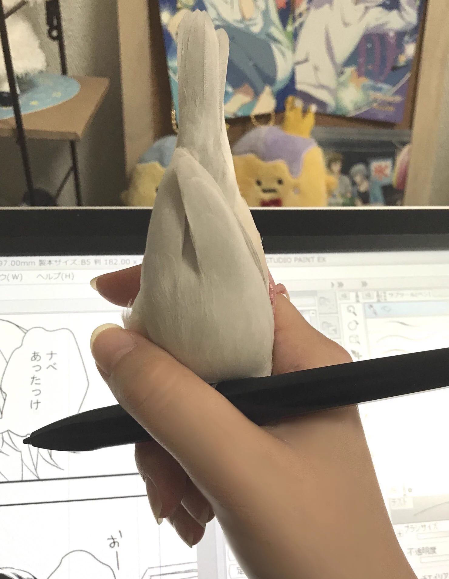 ペンタブなんて握ってないで自分を握ってw手の中に突き刺さってくる文鳥がかわいすぎるw