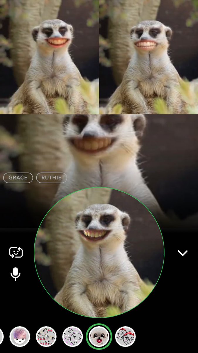 A pretty normal group call on snapchat😅