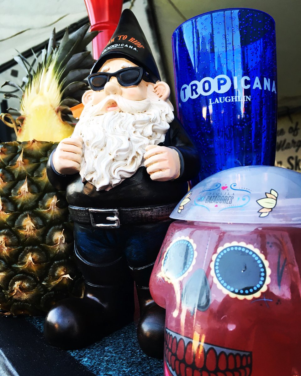 TropLaughlin's tweet photo. Tequila Skulls & Pineapple cocktails are just the beginning...?
#GnomeLife 🌴#laughlinriverrun2018 #Tropicana #BikerWeekend #Drinks https://t.co/6cvBWxR2IH