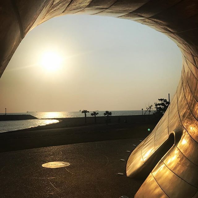 n3rdoverflow's tweet image. #shell museum #shellmuseum ift.tt/2r3uKUq