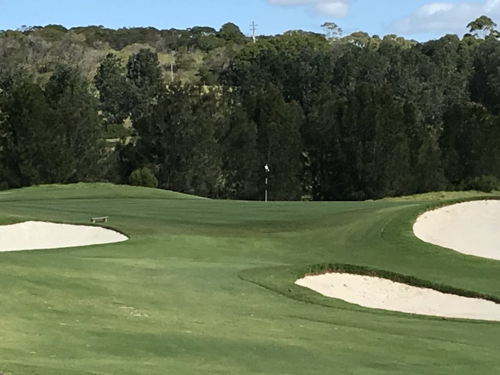 Shane George tweet media