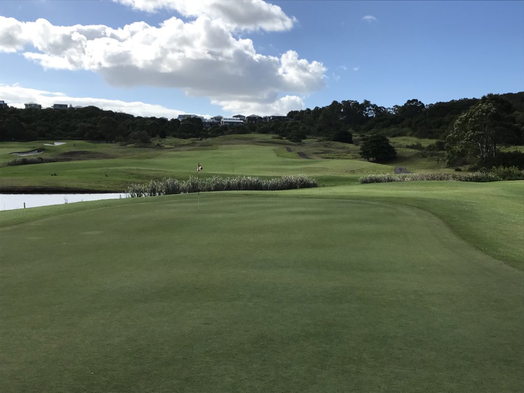 Shane George tweet media