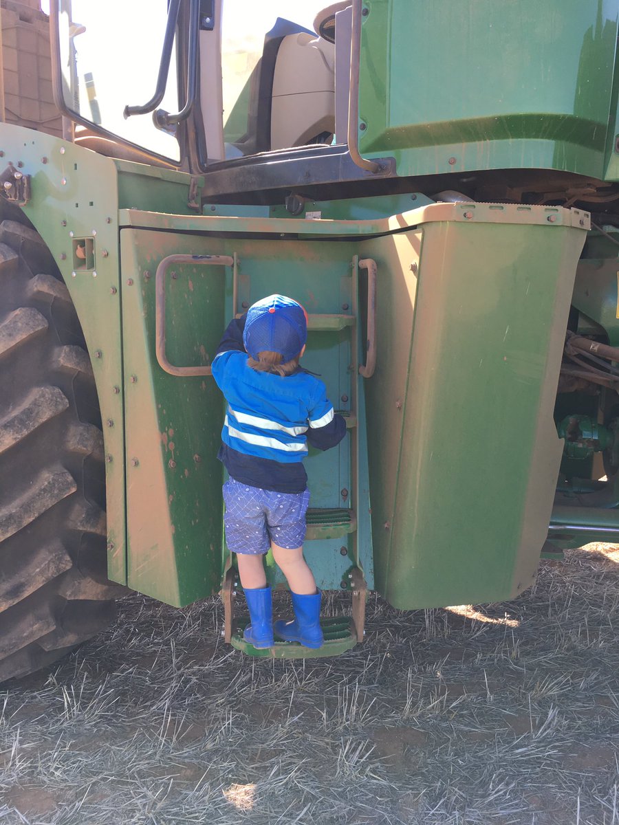 Jessica Koch tweet media