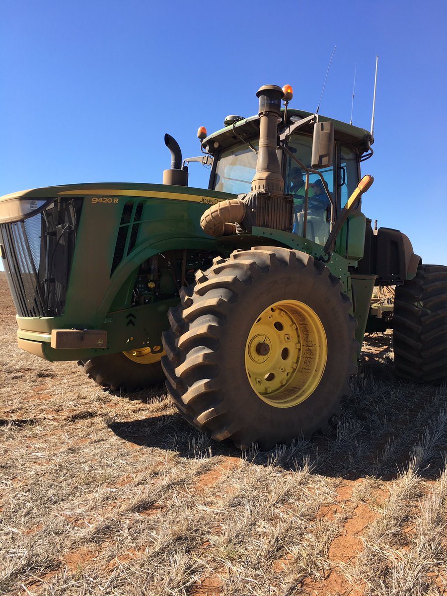 Jessica Koch tweet media