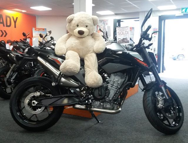 ktm teddy bear