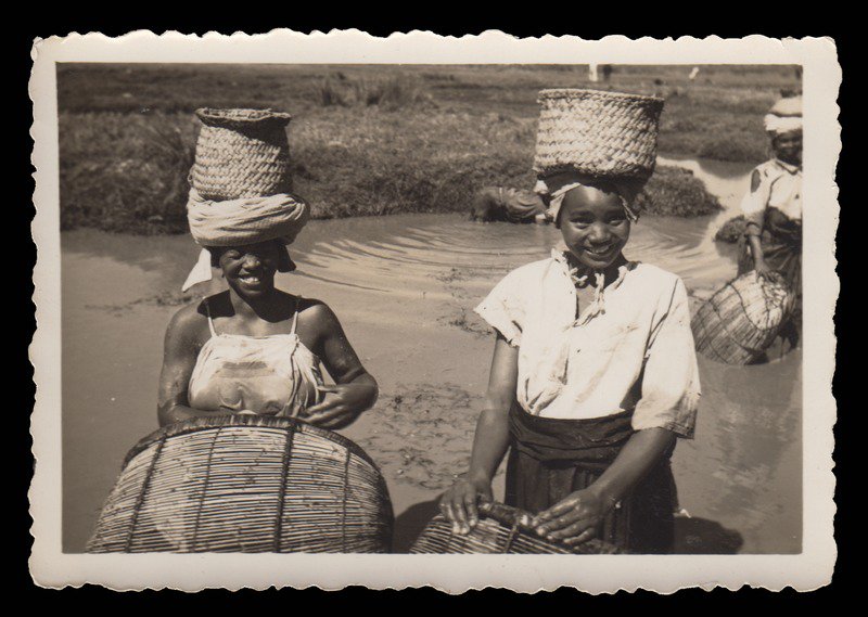 SOAS_SpecColl's tweet photo. Friday at last! https://t.co/QEBjhiGbYq #Madagascar #FridayFeeling #HappyFriday #SOASArchives https://t.co/NPT50HHqna