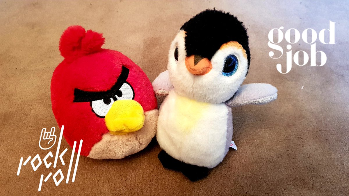 Petit Pongo tweet media