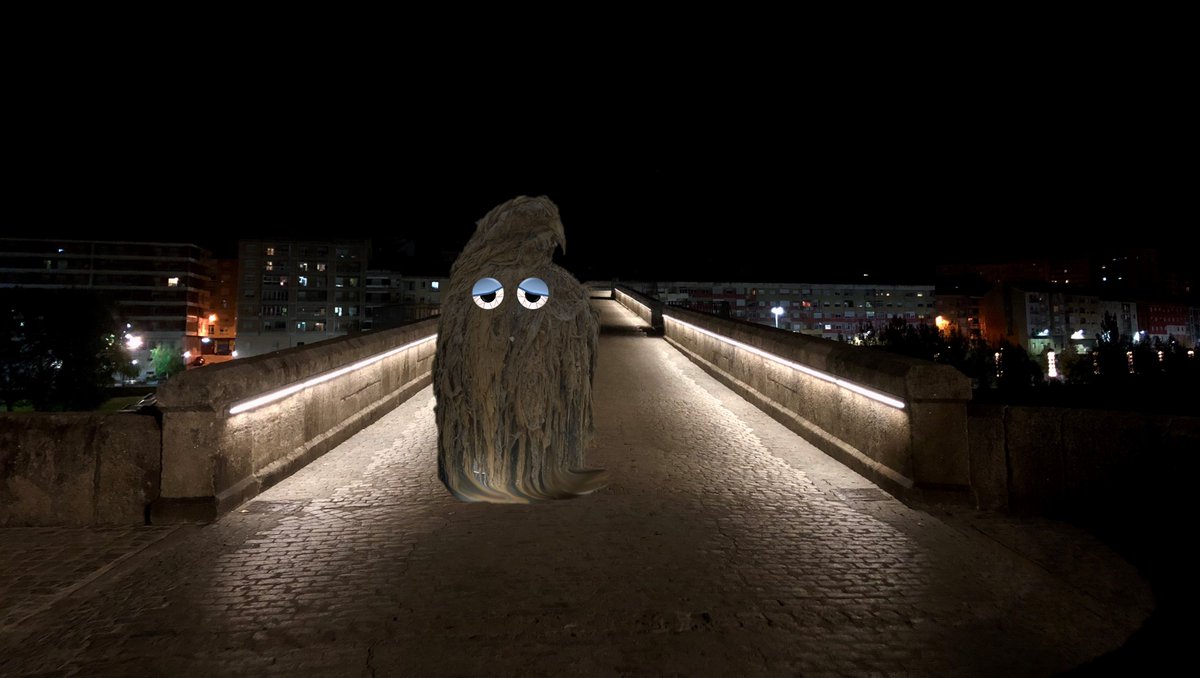 Esta noite atopamos ao #MonstruoToallitas paseando pola Ponte Romana do <a href="/OurenseConcello/">Concello de Ourense</a>! Axúdanos a eliminalo! Os refugallos non degradables como tampones, toalliñas, bastoncillos... tíraos ao lixo 🚮 e non ao 🚽. #ElMonstruoExiste ow.ly/kqoT30jHWnp #ToalliñasNon
