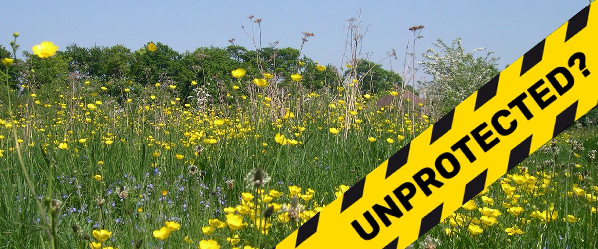 wildlifebcn's tweet image. Local Wildlife Sites are vital patchworks of land linking nature reserves countrywide, but their future is under threat . . . please help here wildlifebcn.org/news/2018/04/1… #UnprotectedSites #ActSwiftly
