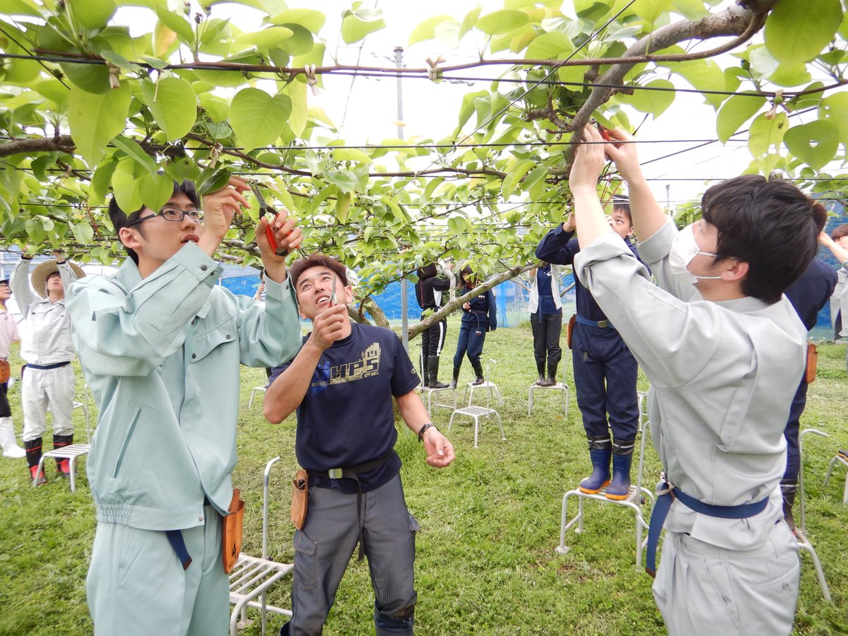 宇都宮大学農学部附属農場 U U Farm No Twitter 農学部生物資源科学科の コア実習 がスタートしました フィールド実習も含め これから最も農場に来る学生たちです 今日は畜産部門の教育研究施設の見学をはじめ ナシ摘果 水稲播種を行うなど 盛りだくさんの 宇都宮大学農学部附属農場 U U Farm No Twitter 農学部生物資源科学科の コア実習 がスタートしました フィールド実習も含め これから最も農場に来る学生たちです 今日は畜産部門の教育研究施設の見学をはじめ ナシ摘果 水稲播種を行うなど 盛りだくさんの