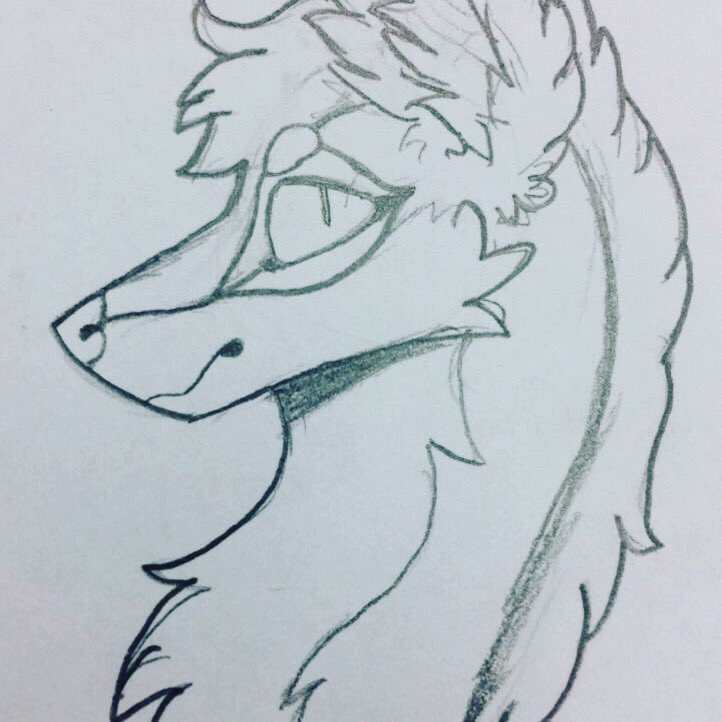 This is just a sketch I drew when I was bored.