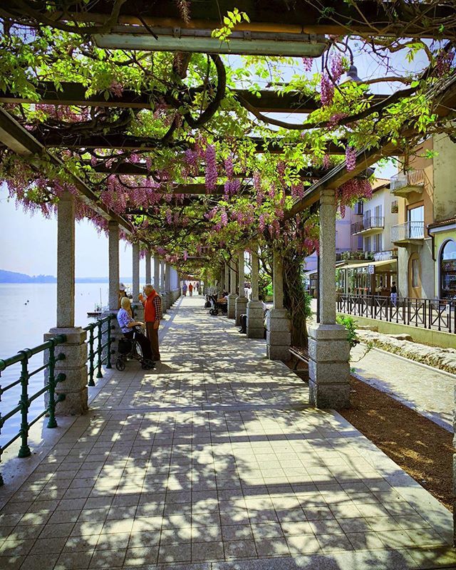 Lago Maggiore .
.
.
.
.
.
.
.
.
.
.
#isolabella #stresa #lagomaggiore #piemonte #isoleborromeo #borromeoisland #borromeo #borromeanislands #lagomaggioreitalia #lagomaggiorelovers #lakemaggiore #maggiorelake #verbano #giardinoallitaliana #giardiniallitali… ift.tt/2r2OMiL