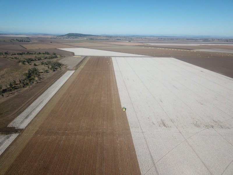 Delta Agribusiness tweet media