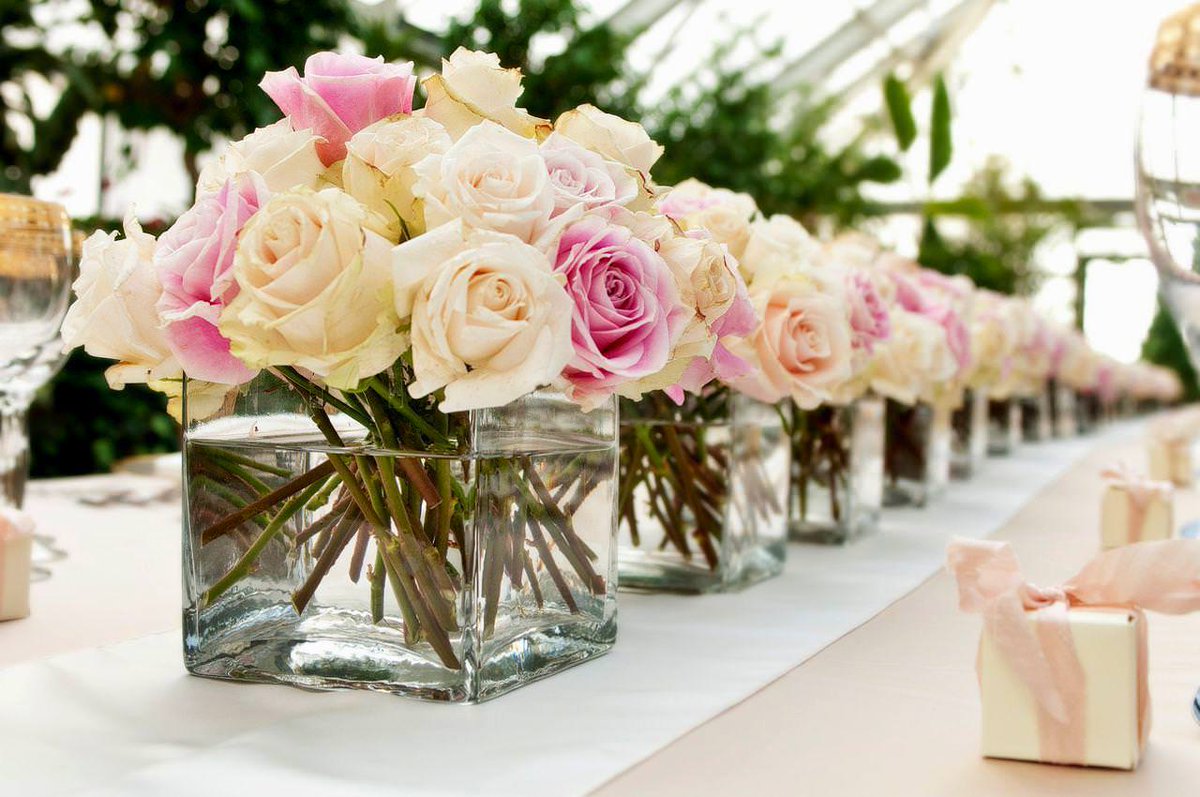 PartyTimeIdeas's tweet photo. 🌹🌹🌹🌹 https://t.co/EptGG2FtY8
