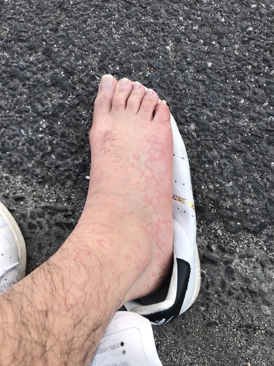 集団ストーカーというタダ働き