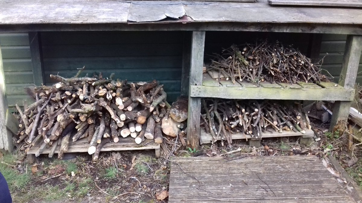 fiona17315279's tweet photo. Fun at Vogrie tonight. Campsite wood pile all restocked by 3rd Bonnyrigg Guides @GGMidlothian https://t.co/DQj81Hj5Ky