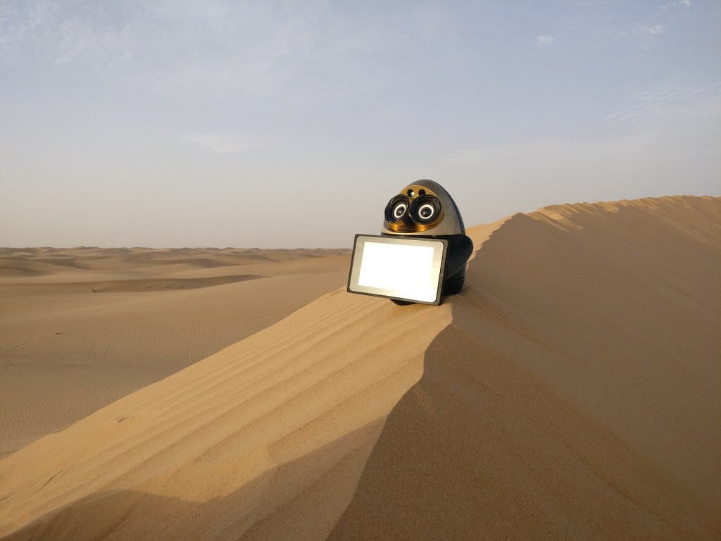 OVObots's tweet photo. OVO sends regards from the UAE desert. Falcon was a bit scary but drivers very nice!
@DxbModern, @edu_EEF 
#OVObots, #Dubai https://t.co/TJaOzRCcGT