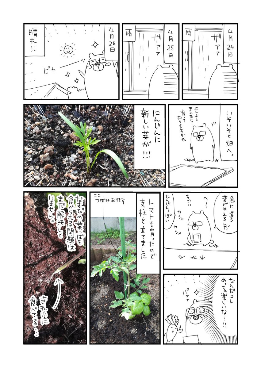 素人がゆるくやってる家庭菜園にっき③ 