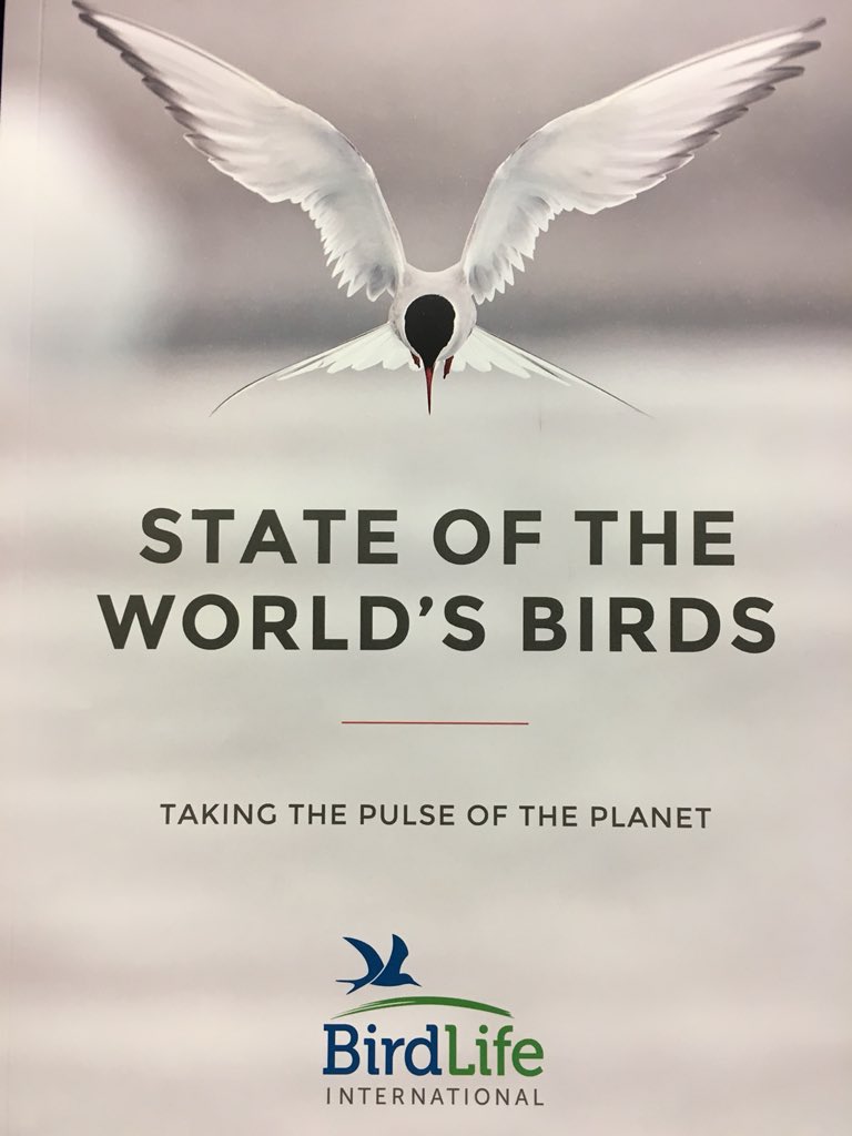 BirdingBeijing's tweet photo. The #FlywaysSummit in Abu Dhabi has closed. Key message: when resources are available, conservation works. Donors agreed to form a “Global Alliance for Bird Conservation Action”. Although much to do, the future of birds along the world’s Flyways is now a little brighter. https://t.co/3n4hhhkgDA