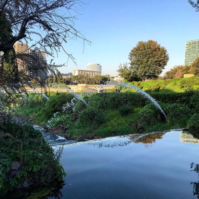 RT @Turismoromaweb: Funtastic view of Giardino delle Cascate in its green spring outfit #Italy
(Photo sissipi8 via Instagram)

#Buongiorno #Roma #GoodMorningRome #Rome #visitroma #visitrome #turismoroma #bellaRoma #ローマ #Рим #罗马