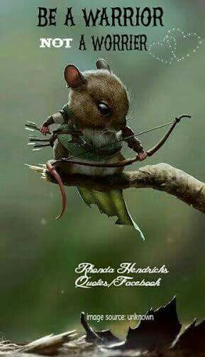 FantasyRealm22's tweet photo. #fantasy #medievalfantasy #quote #art https://t.co/YtpUaATi0n