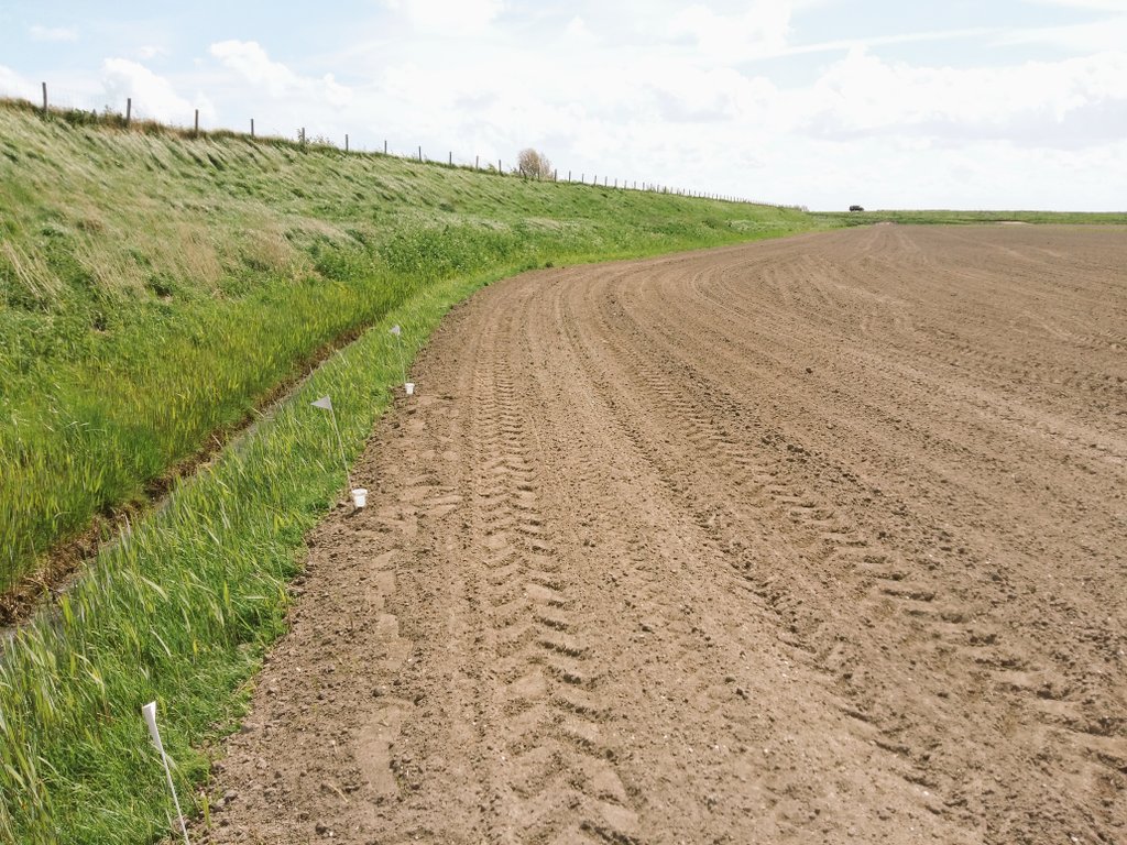 IRS_Levine's tweet photo. Onderzoek monitoring bietenvlieg in 3 regio's samen met De Groene Vlieg Bio Control #suikerbiet #akker #neonics https://t.co/seCHNuaU34