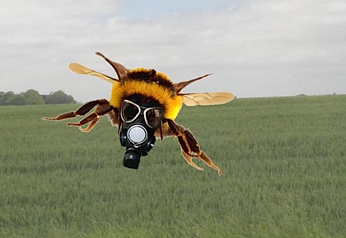 BAN ON NEONICS: I hear that the EU has just this morning voted in favour of a more or less complete ban on the three main neonicotinoid insecticides. A very good day for the environment.