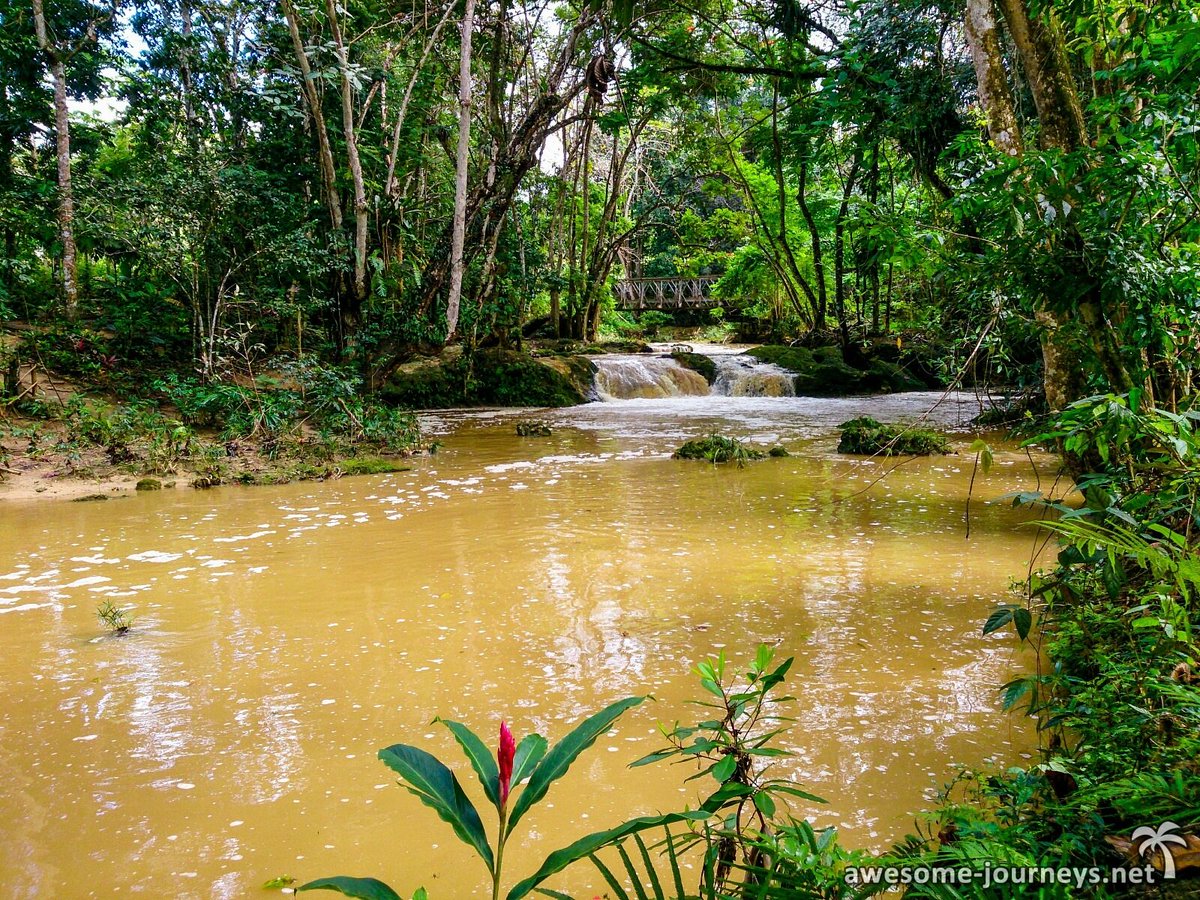 awesomejourneys's tweet photo. #failday at #bluehole in #jamaica 

Normally it should look like this: https://t.co/VyZk6CXkDm
But this was the truth: https://t.co/NqaqgA6Z0e

What happend? Read the full story at https://t.co/NqaqgA6Z0e https://t.co/xhc5ZTkSit