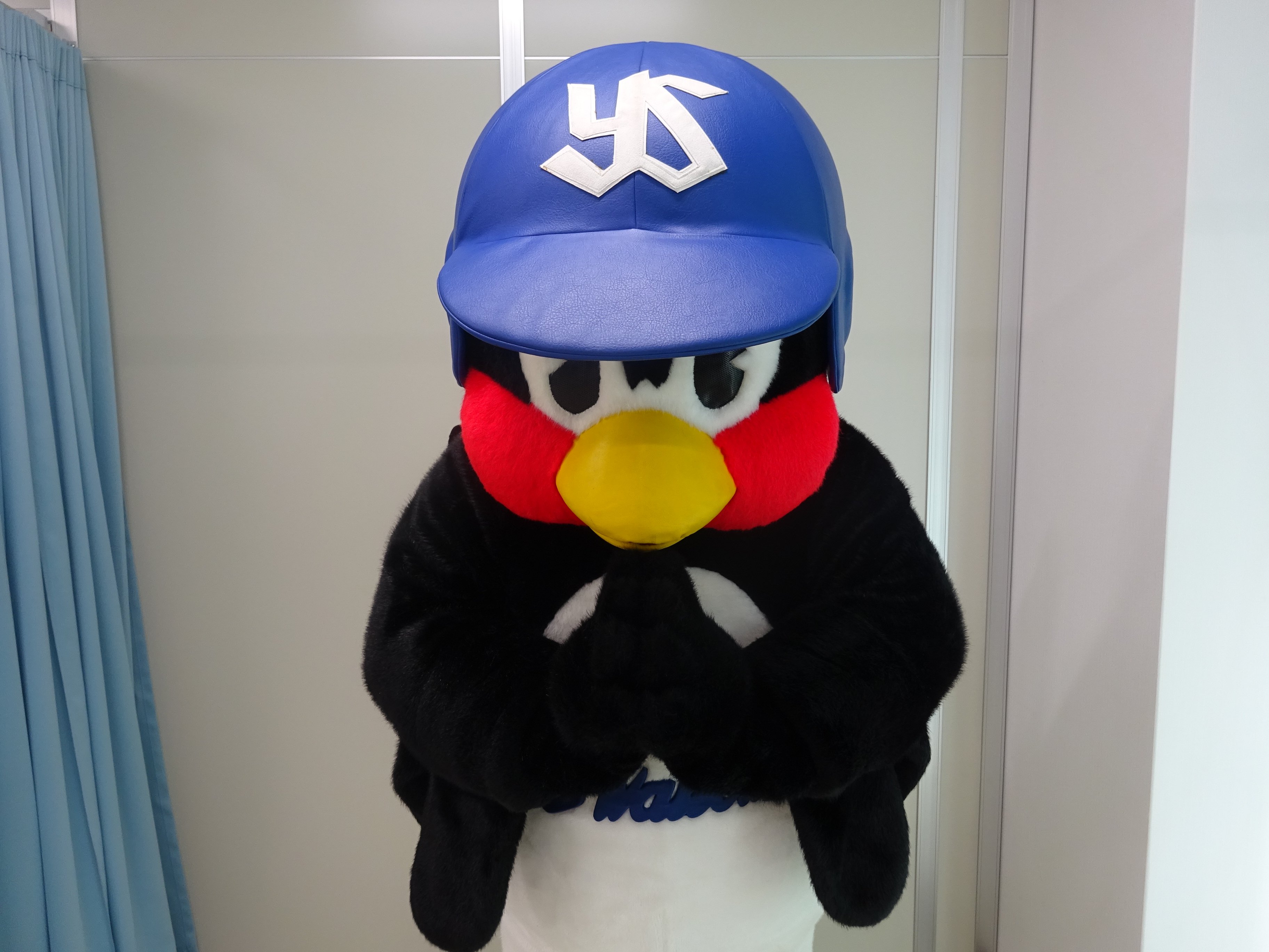 東京ヤクルトスワローズ　つば九郎　支配鳥 日本青年館ホテルつば九郎支配鳥就任一周年記念！つば九郎お悩み
