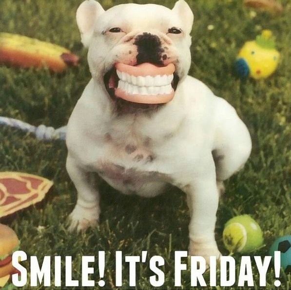 Wessingtondent's tweet photo. SMILE! IT'S FRIDAY!

If you're looking to improve your smile this Friday, do not hesitate to contact our friendly team on 0191 549 8888. We are here until 3pm today to answer any questions you may have :) https://t.co/81X6hfb9f7