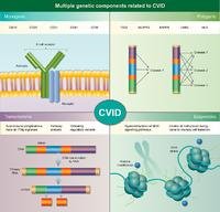 CEIjournal's tweet photo. It's #WorldPIWeek2018!  Take a look at a recent review in from our journal: 'The role of genomics in common variable immunodeficiency disorders' https://t.co/UIyxHE5qGM and head to our webpage for a range of resources! https://t.co/z5eW37oJi1 https://t.co/AXHpGLUrhs