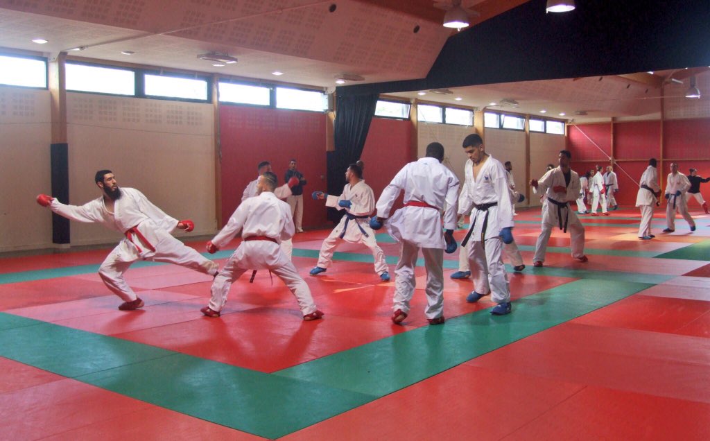 #EuroKarate2018 🇷🇸

Depuis mercredi, le collectif #FranceKarate combat est en stage de préparation sur @EnjoyIledere en vue des championnats d’Europe en Serbie (10 au 13 mai). 

Au programme de la journée d’hier : 
🥋 Karaté 
🐎 Dressage et Voltige 
🚴‍♂️ Balade en vélo