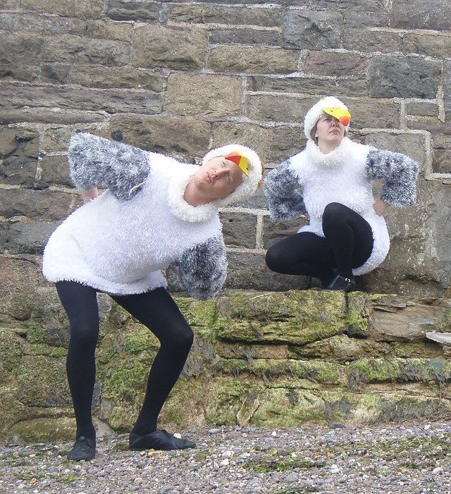 TictacTheatre's tweet image. Did anyone see us out &amp;amp; about yesterday in Teignmouth. Busy getting ready for #SeagullAntics &amp;amp; #SheepTrials  @PavilionsTQ14 May 23rd 7:30pm