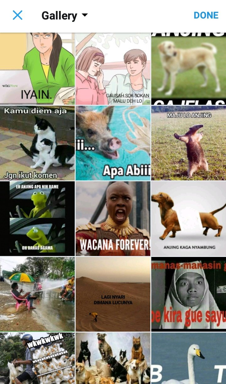 Yeahmahasiswa On Twitter MY PHONE Before Exam After Exam Yeahmahasiswa On Twitter MY PHONE Before Exam After Exam