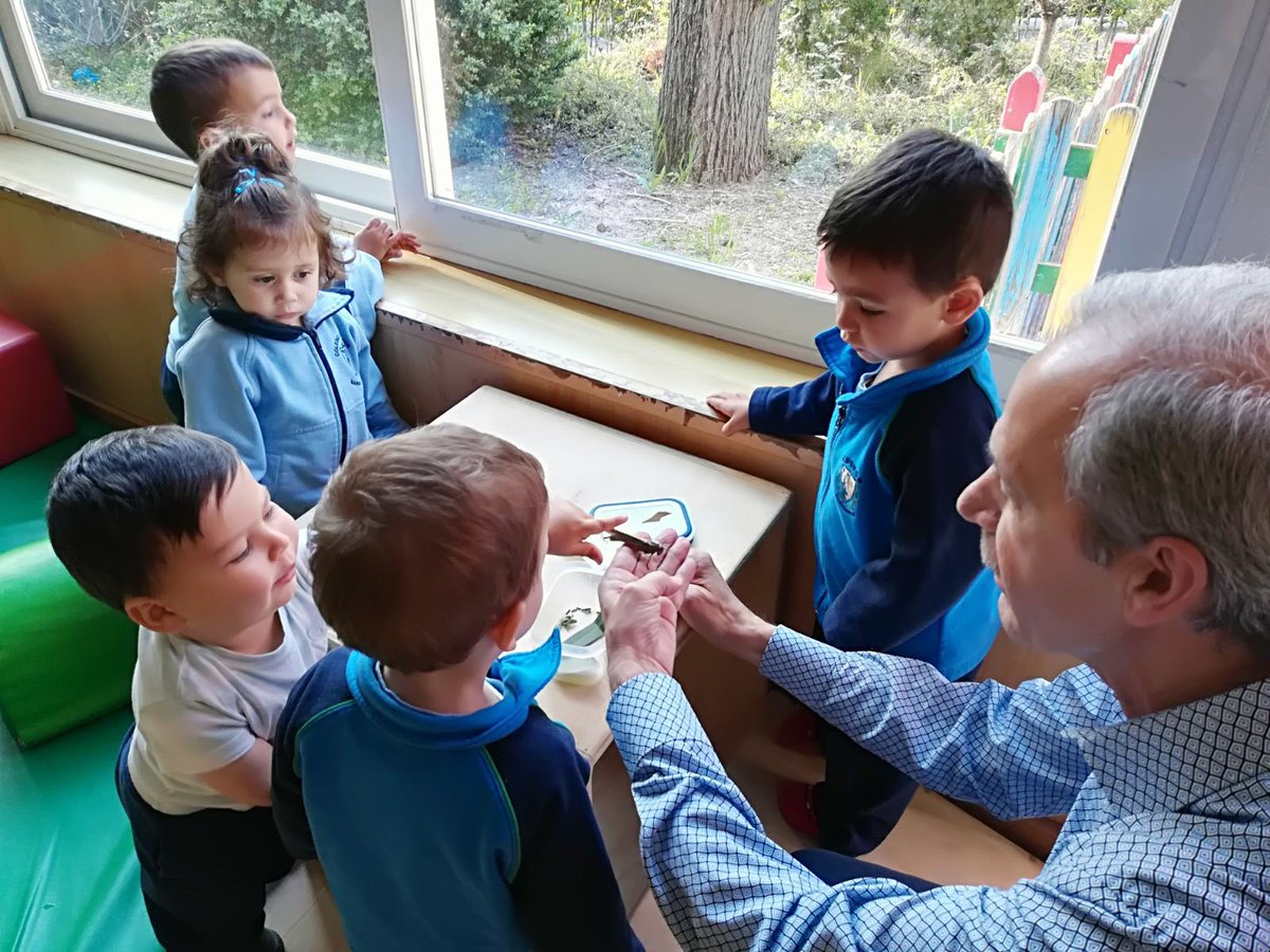 ColegioAmoros's tweet photo. Aprovechar cualquier oportunidad para descubrir, tocar, experimentar... en #InfAmoros #primavera #insectos #aprendizajepordescubrimiento https://t.co/u0hMpJ4PGr