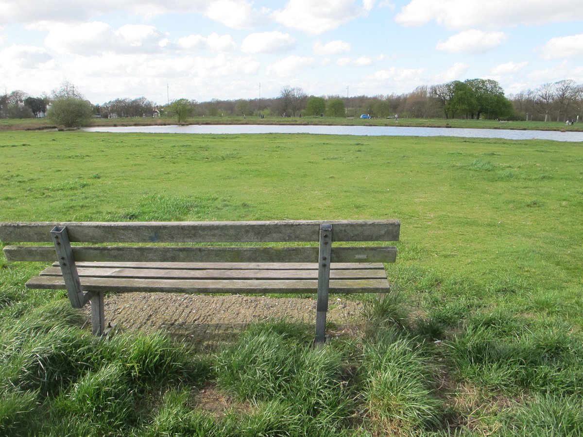 SandraDanby's tweet photo. My favourite bench #morningwalk #WimbledonCommon https://t.co/ZC1YZ6nC85