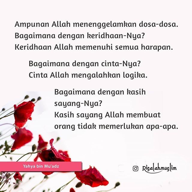 RisalahMuslimID's tweet photo. Cinta Allah mengalahkan logika. Kasih sayang Allah membuat orang tidak memerlukan apa-apa. ◢◤ https://t.co/w4k65tR2vT https://t.co/o6JWvoyvlU