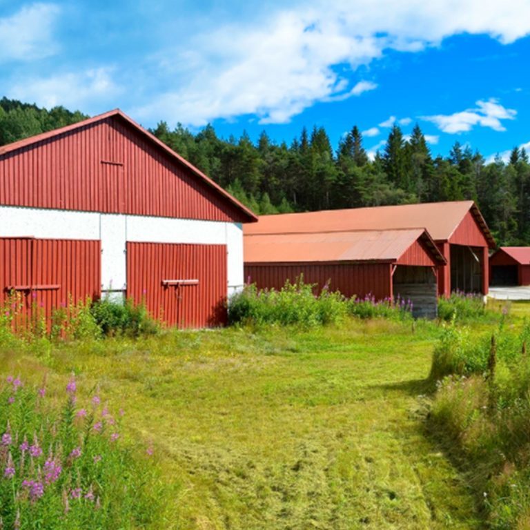 BitcoinNews's tweet photo. Investors from 28 Countries Own Land in Norway’s “Private City” Liberstad https://t.co/SEudwH05sK #Bitcoin https://t.co/5xcR6ZPCk9