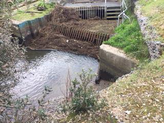 johnoflynnEA's tweet photo. Now you see it, now it's gone!! #EastHantsFieldTeam clear a load of reed from the #RiverAlver outfall screen into Stokes Bay, reducing flood risk to #Gosport residents #Hampshire . #floodaware @DiscoverGosport @Gosportnews https://t.co/DnyN4gTSDa