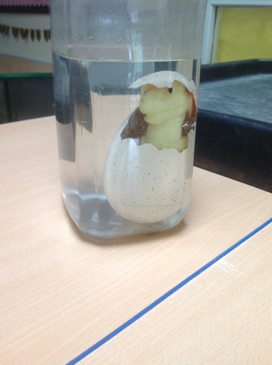 Foundation are very excited - our eggs have hatched.  We can't wait to find out what type of dinosaur is inside!