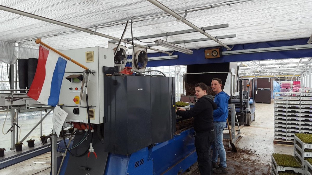 Ook bij ons hangt de vlag uit. Leve de Koning 🇾🇪👑